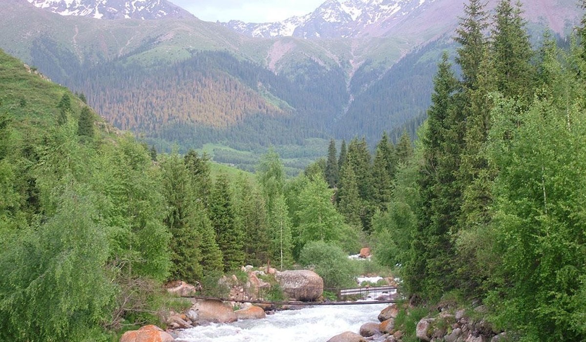 Сильвия Сент порно компиляциясын онлайн көріңіз Орыс қыз порно
